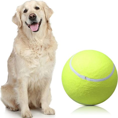 Balle de tennis gonflable pour chien (1/5)