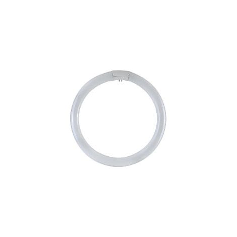 Circolina T9 G10Q 40W 6500K Trifosfori