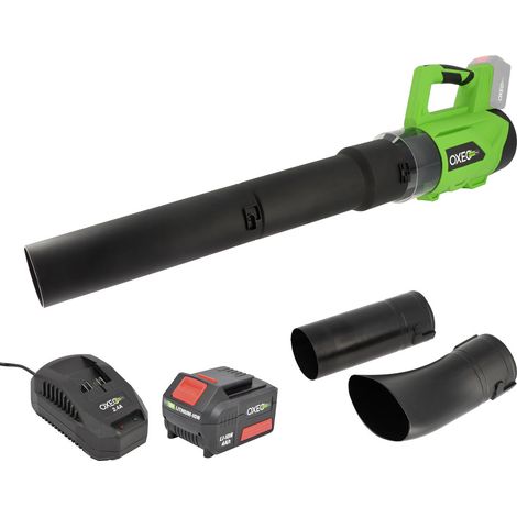 Souffleur à feuilles gros débit sans fil 18V - avec Batterie 4Ah et chargeur - 2 vitesses - Max 210 km/h - 2 embouts gros débit (1/5)