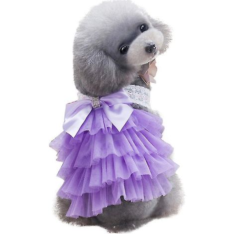 Jupe pour chien (1 pièce) (1/3)