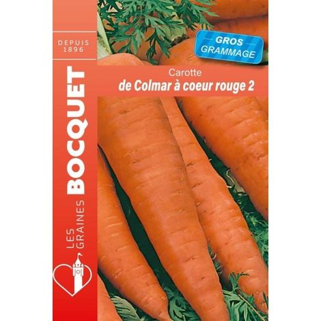 Carotte de Colmar à coeur rouge - 2 gros grammage - 21g