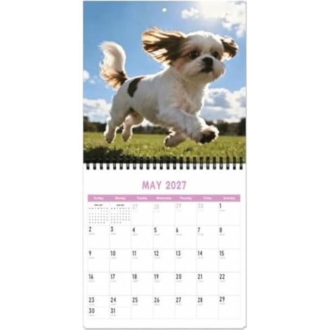 Calendrier 2027 Mensuel Épais Blague Planificateur Hebdomadaire Mensuel (1/5)