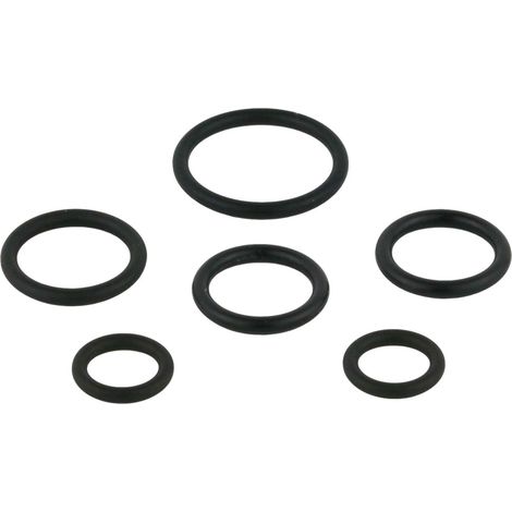 O-Ring-Dichtung ersetzen Idral 02096/OR6  Dichtung