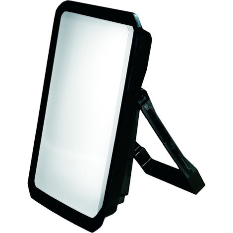 LED-Bauleuchte, 50 W Typ Hamburg (1/2)