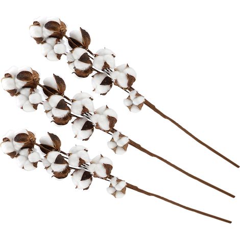 3 tiges de cotonnier naturel de 60 cm, 10 capsules de kapok séché, décoration florale pour mariage, fête ou maison (1/5)