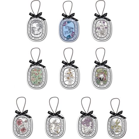 10 Parfums de Voiture Suspendus, Désodorisants Longue Durée pour Auto, Camion, Décoration Maison (1/5)