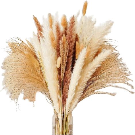 Herbe de la pampa séchée, roseaux de la pampa naturels bruns et blancs, roseaux de lapin pour une décoration intérieure bohème (1/4)