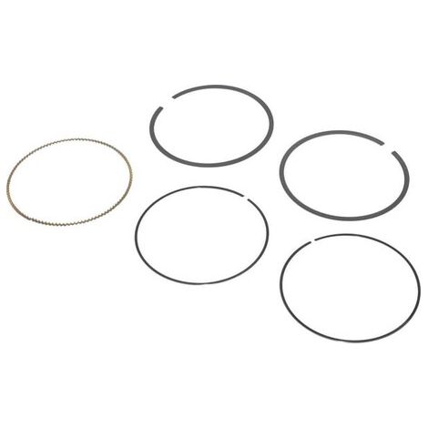 Segmenti Briggs et Stratton 792306 - 792308