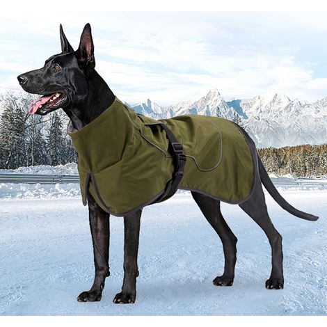 Manteau Chien - Rembourré Épais en Polyester - Col Haut Réglable - Couverture Complète - Ouvertures Pratiques - Vert - Taille Unique (1/5)