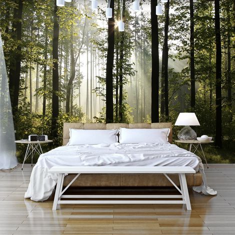 Fotomurale adesivo - Forest: Morning Sunlight  - 147x105 (1/4)