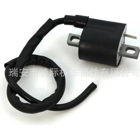 Bobine d'allumage pour Polaris ATV Sportsman500, Yamaha YFM350 (1/5)