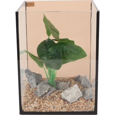 Mini aquarium en verre compact et ingénieux, sûr et silencieux pour un changement d'eau facile et rapide, idéal pour une utilisation sur table. Kit d'aquarium de table. (1/5)