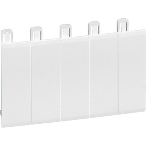 Otturatore 5 Moduli per Coprimorsetti EKINOXE RAL 9003 LEGRAND 001660  Bianco