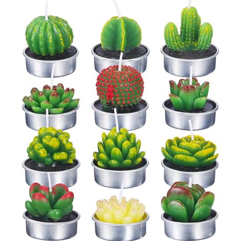12 Sukkulentenkerzen für Zuhause, Hochzeit und Spa – Elegante Geschenkideen (1/5)