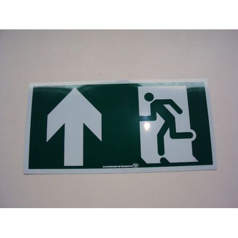 Pictogramme rigide nf (100 x 200mm) fleche verticale haut pour BAES URA 125024