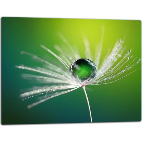 Planche à découper en verre 52x40 fleurs (1/5)