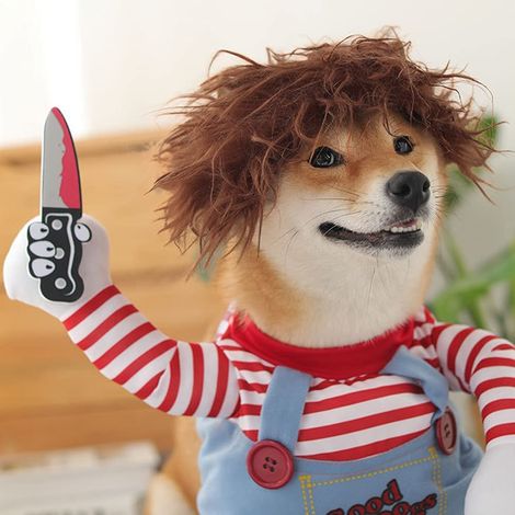 Costume de Poupée Mortelle pour Chien - Halloween et Nol - Vêtement de Fête Amusant (1/5)
