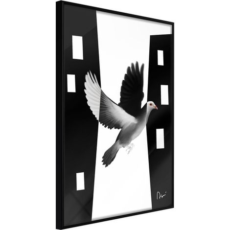 Affiche Murale Encadrée "Caught in Flight" 30 x 42 cm Noir