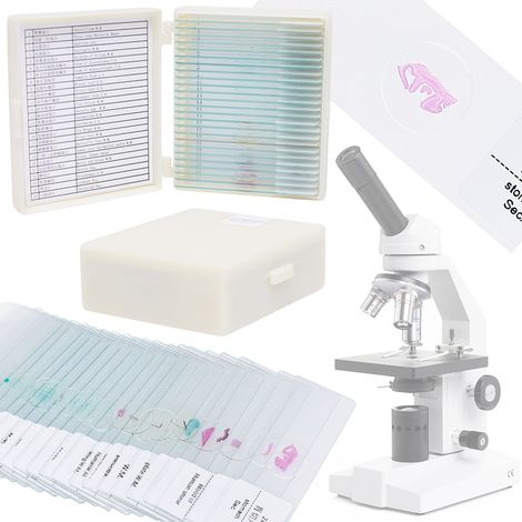 Ensemble de 25 échantillons de microscope (1/5)