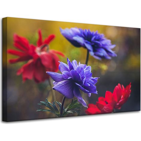 Leinwanddruck Botanik Wildblumen 80x50 cm