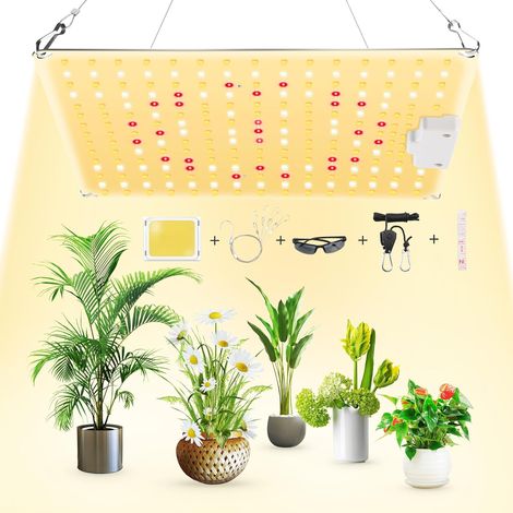 Lampe LED Horticole, 600W Lampe Horticole LED Spectre Complet, Usine Élèvent la Lumière Lampe de Croissance pour la Croissance et Floraison Des Plantes en Intérieur Hydroponic (1/5)