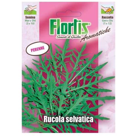 Rucola Selvatica