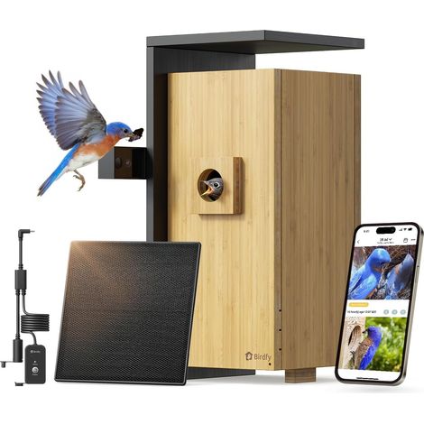 Nichoir Oiseaux avec Double Camera pour l'observation en Direct, 1080P Bambou Nichoir Mesange avec Vision Nocturne, Analyse du Comportement par IA avec Alertes et Enregistrements Automatiques (1/5)