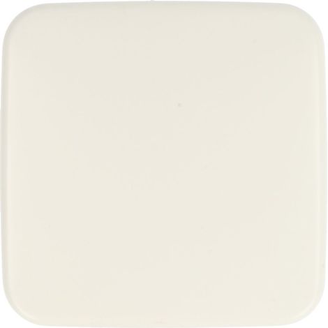 Placca di finitura Busch-Jaeger 1576 C-214 IP20 5,4x5,4 cm
