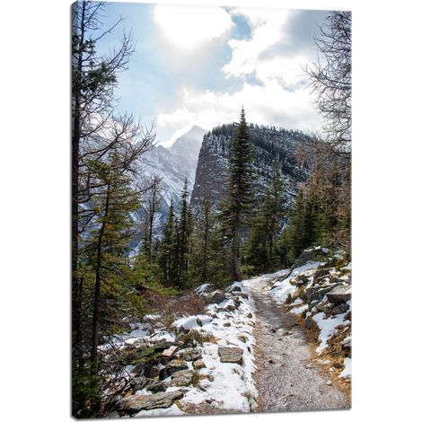 Leinwanddruck Natur Bergpfad Schnee 40x60
