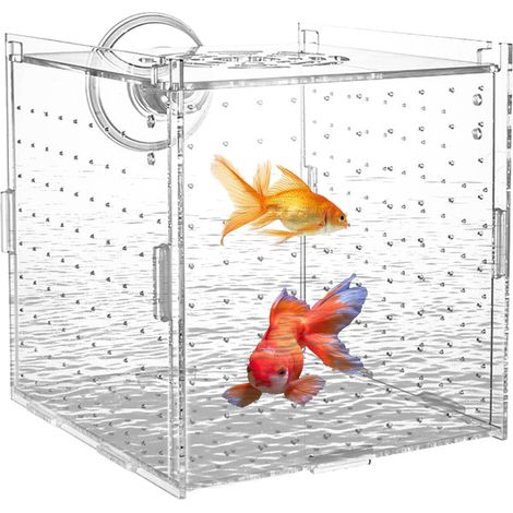Aquarium-Isolationsbox – 1 Stück – Transparentes Acryl – Trennwand mit Saugnäpfen – Für die Zucht von Guppys, Kampffischen und Jungfischen (1/5)
