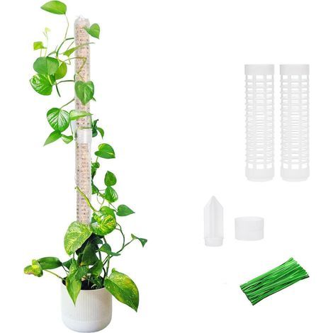2 Pezzi Tutori per Piante Rampicanti in Vaso - Palo in Spugna Estensibile per Monstera Deliciosa - Supporto per Piante Rampicanti da Interni/Esterni con Picchetti (1/5)