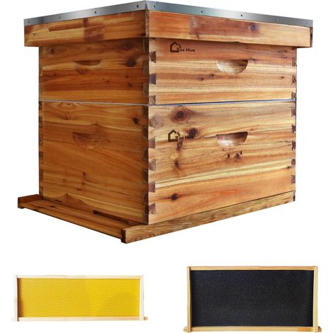 Hydromotrix – Ruche Langstroth 10 cadres avec fenêtre d’observation – 1 corps profond en cèdre imperméable – 20 cadres en cire d’abeille – Assemblage facile (1/5)
