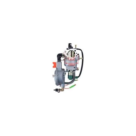 Carburateur S-giant GX390 GPL NG 188F 5 kW pour générateur à gaz naturel