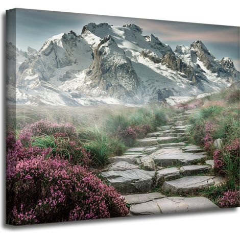 Leinwanddruck Natur Heide in den Bergen 50x40