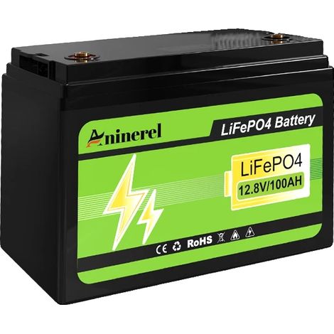 Batterie LiFePO4, capacité de 100Ah, système de gestion de batterie intégré, 12V 100AH (1/2)