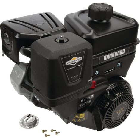 Moteur BRIGGS ET STRATTON 19L2320315F1 (1/5)