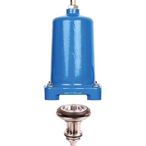 Insert de soupape de remplacement D15S avec chapeau, DN 65 - DN 100