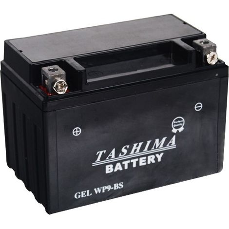 Batterie Plomb étanche Gel/agm 12v Wp, 8a. L: 150, L: 86, H:105mm, + à Gauche. - Batterie à Mettre En Acide Avant D'être Délivré