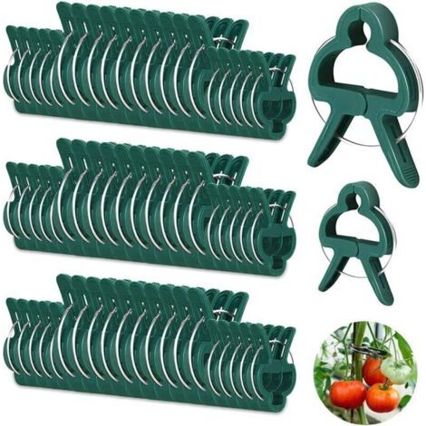 Lot de 100 clips de plantes réutilisables – 50 grands et 50 petits – Pour tomates et plantes grimpantes – Matériau plastique robuste (1/5)