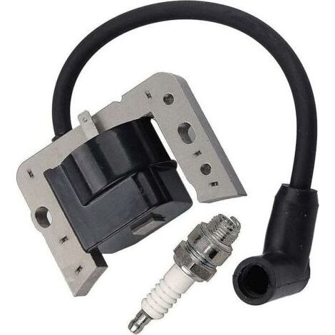 Bobine d'allumage 34443d pour Tecumseh 34443, 34443a 34443b 34443c Module à semi-conducteurs de bobine d'allumage-tecumseh Av520 Lh195 Oh195 Th139 Tv085 Tvm140 Tvxl840 V