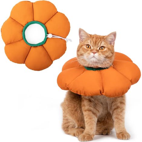 Colerette Chat Anti Léchage, couleur orange, Cicatrisation, Récupération, Imperméable (1/5)