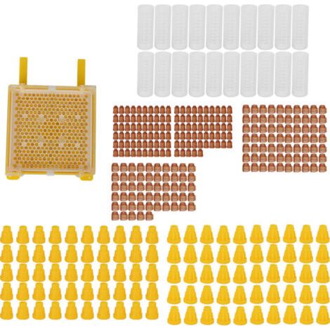 Kit d'élevage de reines, housse de protection pour cellules royales, kit apicole complet pour apiculteurs. - AquaForge (1/5)