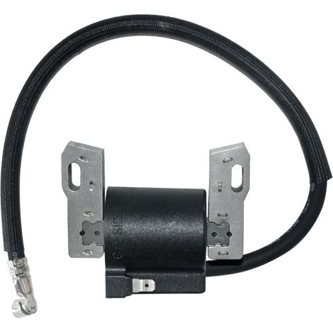Bobina di accensione per Briggs Stratton 591420 398593 496914 793281 792395 -..DEBUNS (1/4)