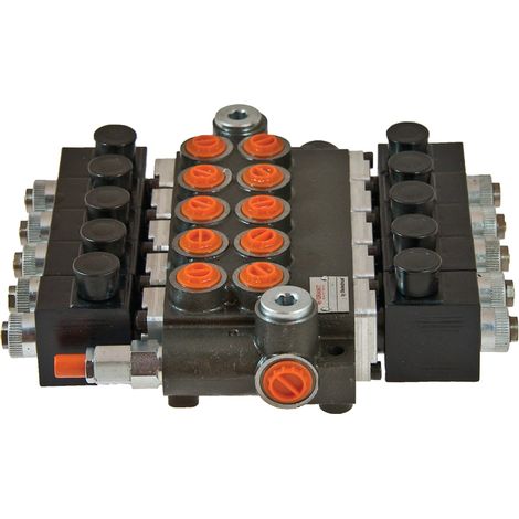 Valvola elettrica a 5 sezioni 12V CC 1/2" 3/4" 80L (1/3)