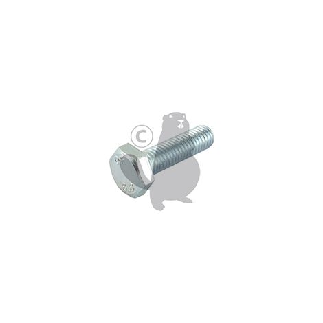 SCHRAUBE M10 x 35 Stiga Rasenmäher GGP 112794400/0
