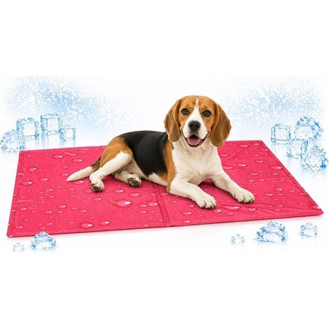 Tapis rafraîchissant pour chien et chat - Taille M - 70 x 50 cm - Fuchsia - Tapis auto-rafraîchissant pour chiens et chats - Tapis rafraîchissant d'été (1/5)