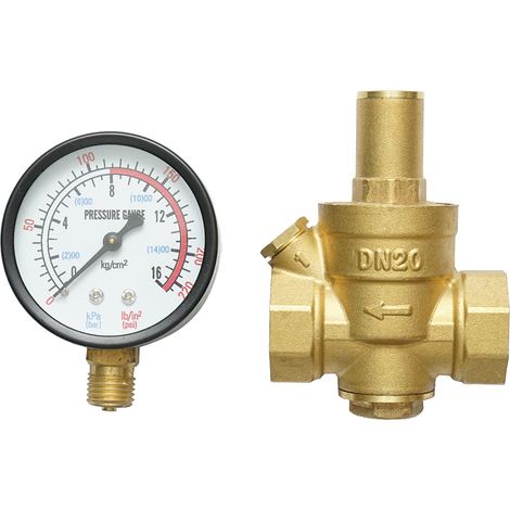 Regolatore di pressione dell'acqua da 3/4-3/4, regolabile con filtro e manometro DN20 per impianti solari residenziali. (1/3)