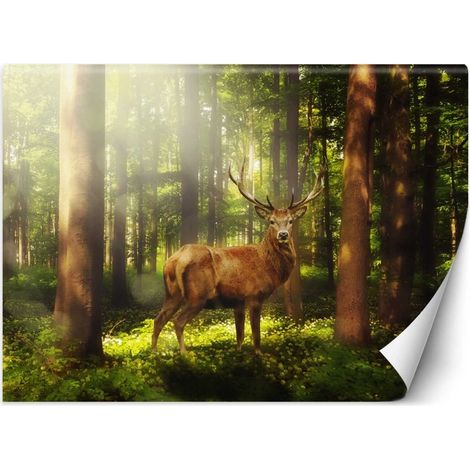 Papier peint cerf dans la forêt - 450 x 315 cm