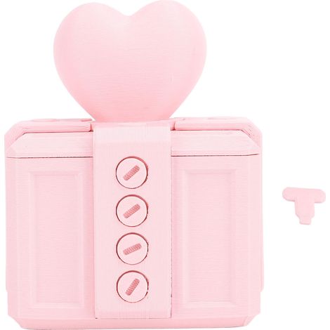 Boîte cadeau agaçante avec vis PLA 3D imprimée – Farce vis hilarante argent carte conteneur hommes femmes Noël anniversaire rose (1/5)