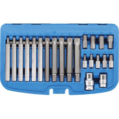BGS  Juego  de  puntas  accionamiento  hexagonal  exterior  10  mm  (3/8")  perfil  estriado  (para  Ribe)  22  piezas  -  5013 (1/4)
